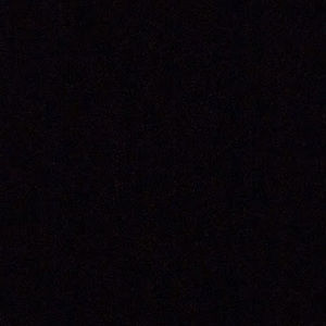 Meet your Posher, Bear the